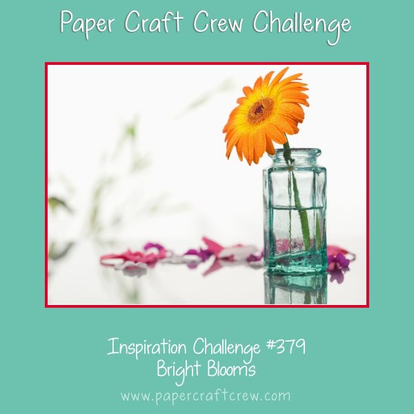 Inspirational Photo Challenge of a single orange daisy in a glass vase for PCC379