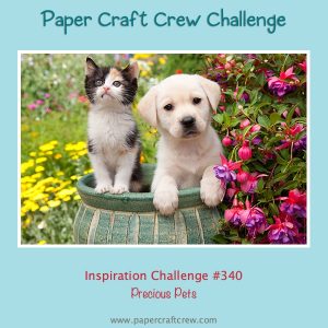 Inspirational challenge with a Cute Kitten and Puppy inside a vase surrounded by bright yellow and pink flowers in an outdoor setting.